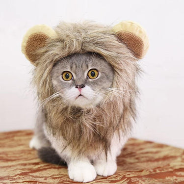 So Kawaii! Lion Mane Cat Costume Cat Apparel KittyNook